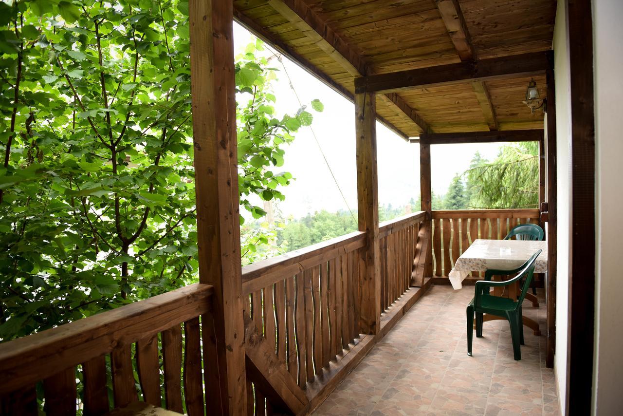 Casa Edy Hotel Colibita Bagian luar foto